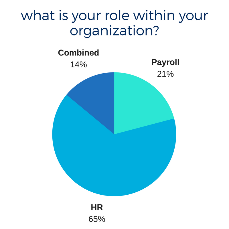 what is your role within your organization_